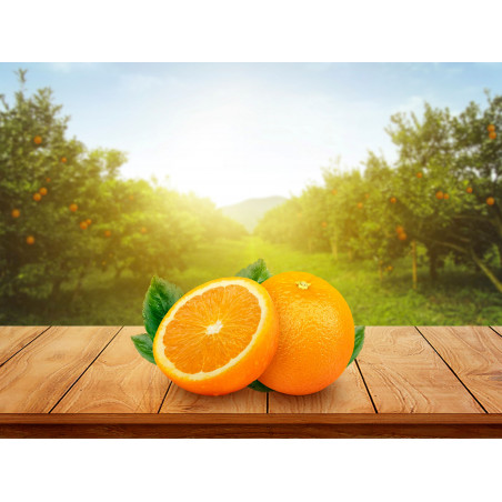 Del Monte Succhi di Frutta Arancia 1Lt - Normalmente Venduto a € 1,9