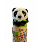 WWF Peluche Panda con Gioco in Scatola - Normalmente Venduto € 28 WWF Peluche Panda con Gioco in Scatola - Normalmente Venduto € 28