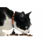 La Preferita Cat 8,5Kg Alimento Adult Premium - Normalmente Venduto a € 58 La Preferita Cat 8,5Kg Alimento Adult Premium - Normalmente Venduto a € 58