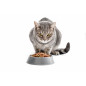 La Preferita Cat 8,5Kg Alimento Adult Premium - Normalmente Venduto a € 58 La Preferita Cat 8,5Kg Alimento Adult Premium - Normalmente Venduto a € 58
