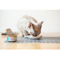 Almo Nature Daily Cat Mousse Trota 24x85g - Normalmente Venduto a € 33 Almo Nature Daily Cat Mousse Trota 24x85g - Normalmente Venduto a € 33