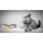 Almo Nature Daily Cat Mousse Trota 24x85g - Normalmente Venduto a € 33 Almo Nature Daily Cat Mousse Trota 24x85g - Normalmente Venduto a € 33