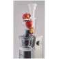 Ariete Centrika Slow Juicer Metal - Normalmente Venduto a € 130 Ariete Centrika Slow Juicer Metal - Normalmente Venduto a € 130