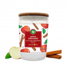Air Wick Candela Essential Oils 185g - Normalmente Venduto €4,90
