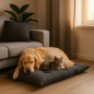 Cuscinotto Cotton House 80x60cm - Normalmente Venduto €39,90 Cuscinotto Cotton House 80x60cm - Normalmente Venduto €39,90