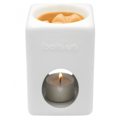 Bolsius cera fondente Mango- normalmente Venduta 4,00€