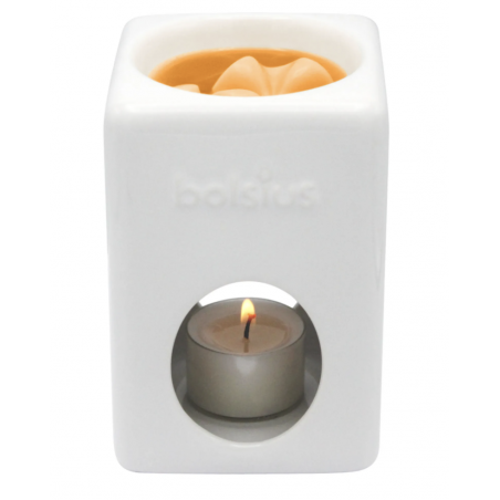 Bolsius cera fondente Mango- normalmente Venduta 4,00€