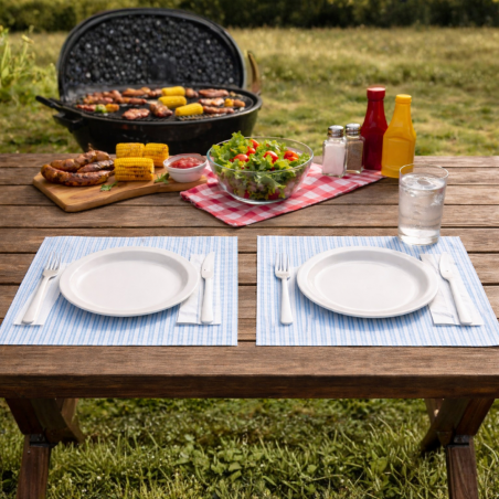 Hofmann Home 10 Tovagliette di carta - Normalmente Venduto €2,90