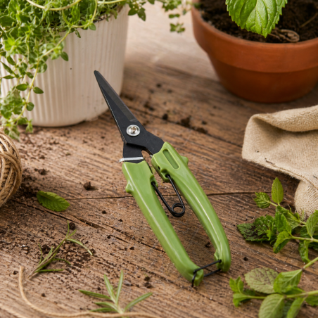 Cesoia da Potatura Normalmente Venduto € 5,90