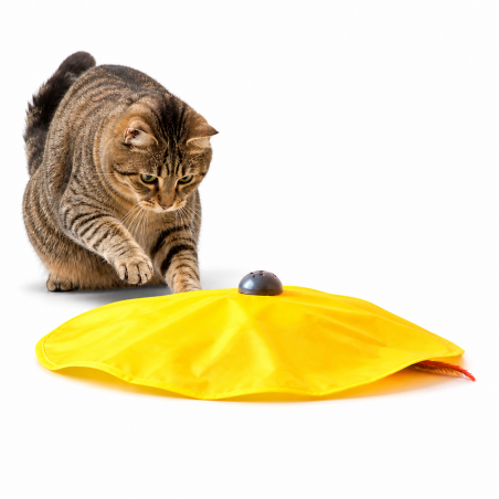 Gioco Gatto Micio Mao - Normalmente Venduto €4,90