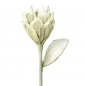 Fiore Artificiale Mum Still 95 cm