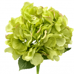 fiore Artificiale Hydrangea 55cm