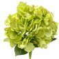 fiore Artificiale Hydrangea 55cm