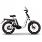 Bici elettrica Fantic Issimo 45