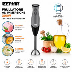 Frullatore a Immersione Zephir 300W ZHC87
