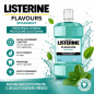 Listerine colluttorio spearmint 500ML 2 pezzi